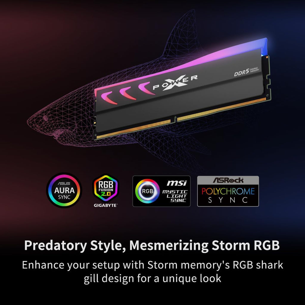 Silicon Power DDR5 32 GB (2 x 16 GB) storm RGB 6000 MT/s (PC5-48000) 288-stifts CL36 1,35 V UDIMM skrivbordsminne modul RAM SP032GXLWU60FFDK grå