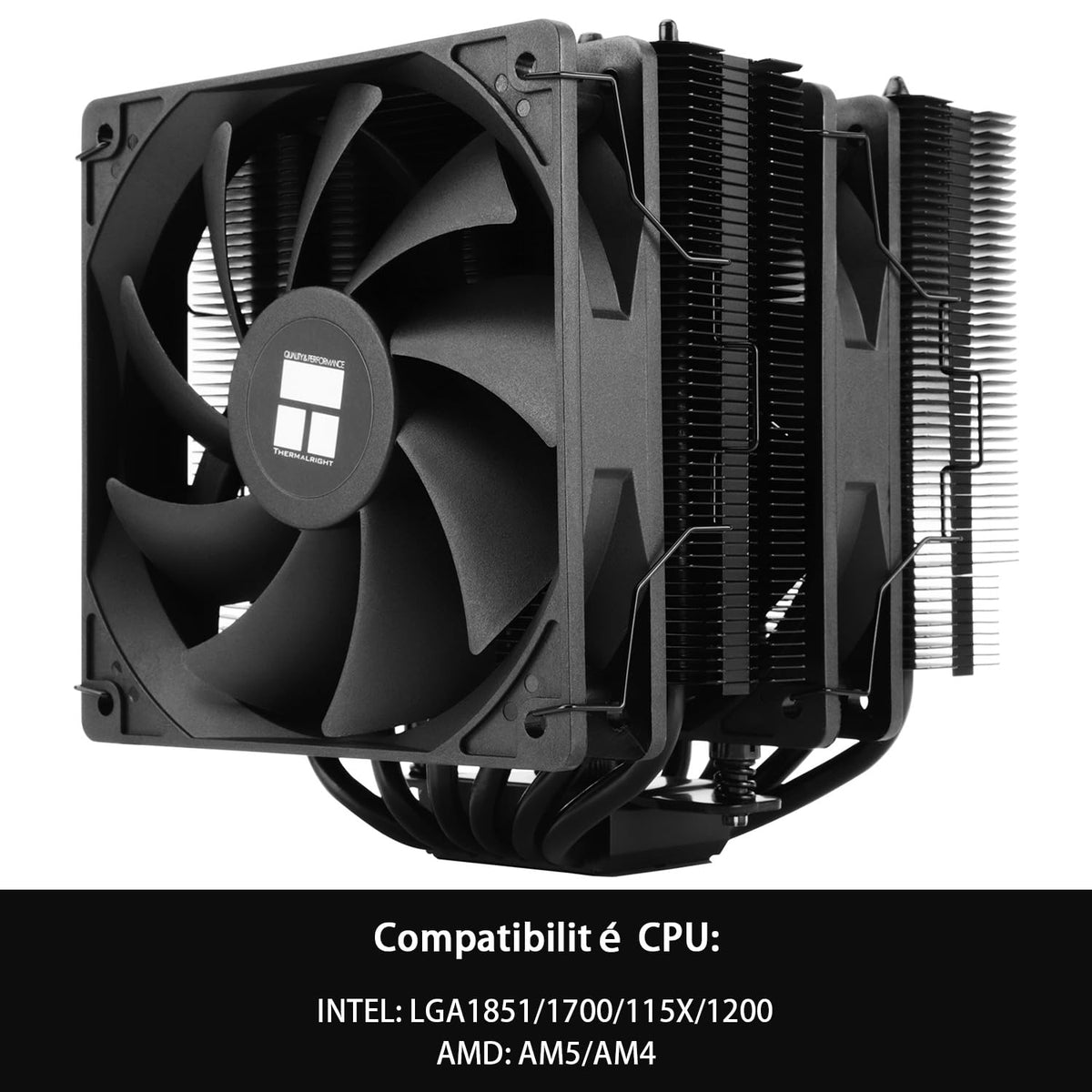 TR Peerless Assassin 120 SE svart, 6 värmerör, 2 x 155 mm, hög kylning PWM TL-C12C för AM4/AM5 och Intel LGA 1851/1700/1150/1151/1200 (svart, PA120SE)